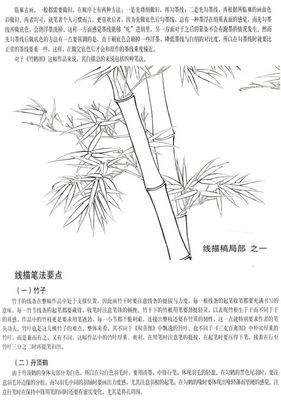 【学习教程】学画《竹鹤图》