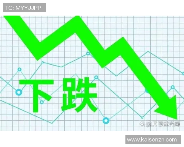 武汉排球队逆风翻盘的背后故事与未来展望解析